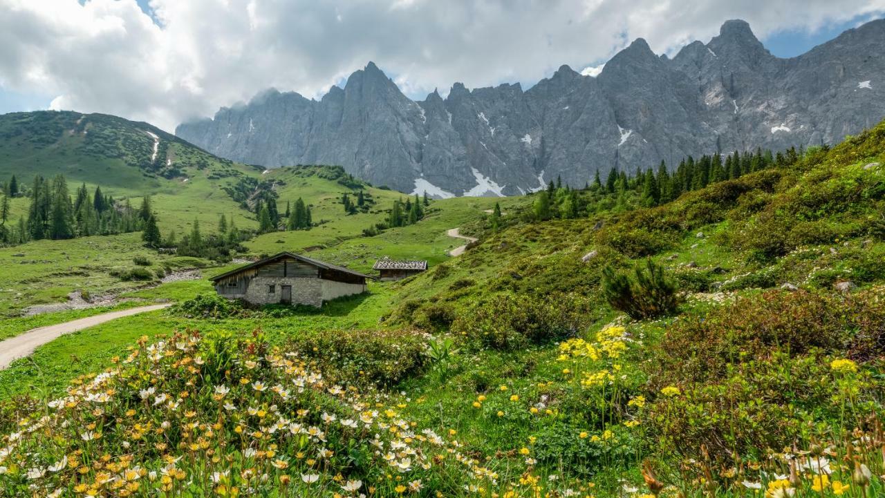 Karwendelgold Daire Scharnitz Dış mekan fotoğraf